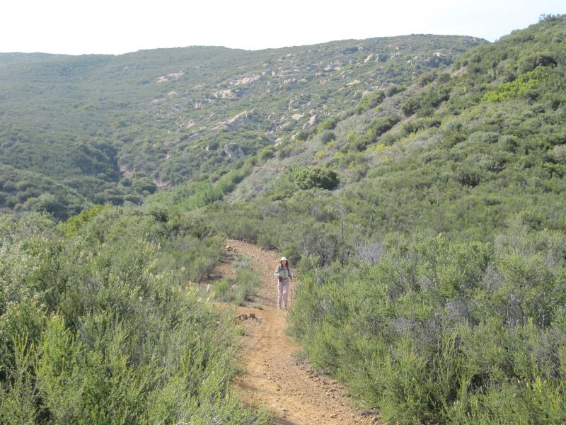 IMG_5469.jpg