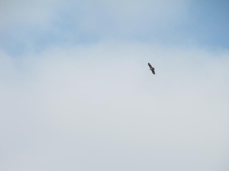 IMG_5540.jpg