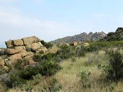 IMG_5536.jpg