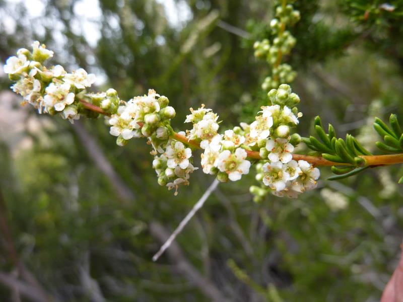 P1080255.jpg