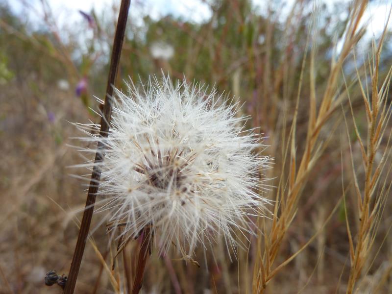 P1080345.jpg