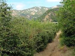IMG_6287.jpg