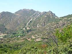 IMG_6296.jpg