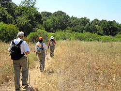IMG_6297.jpg