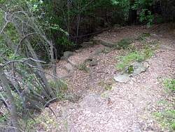 P1080330.jpg