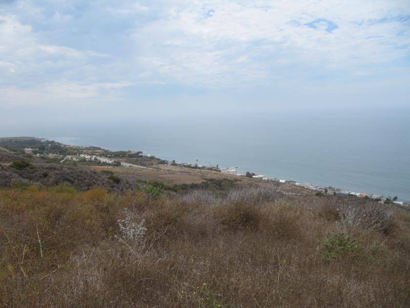 IMG_6717.jpg