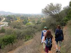 IMG_8331.jpg