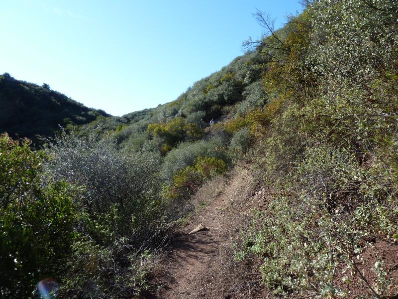 P1090225.jpg