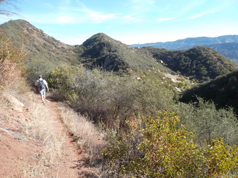 SAM_0633.jpg