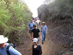 IMG_8563.jpg