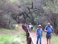 IMG_8565.jpg