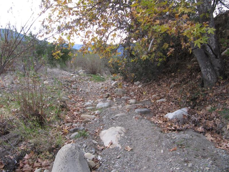 IMG_8583.jpg
