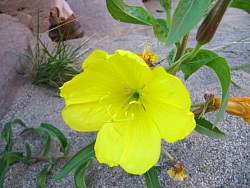 IMG_8786.jpg