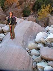 IMG_8793.jpg