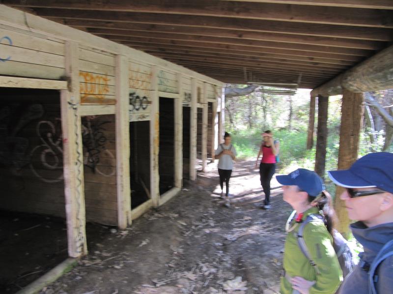 IMG_8942.jpg