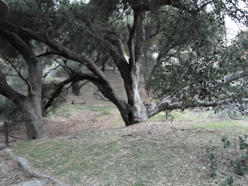 P1100229.jpg