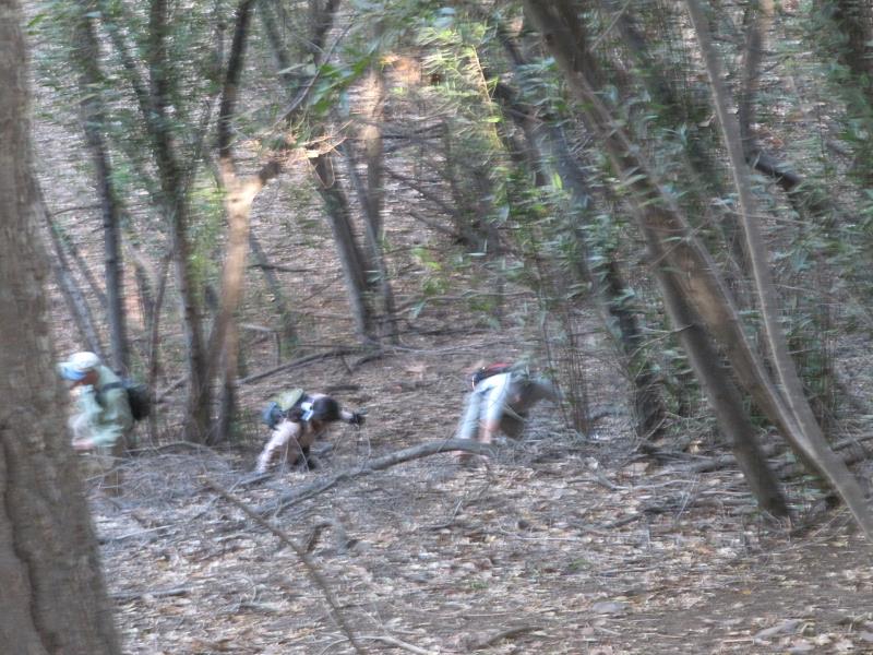 IMG_9330.jpg