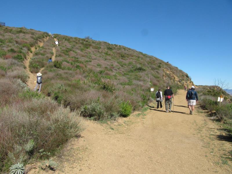 IMG_9624.jpg