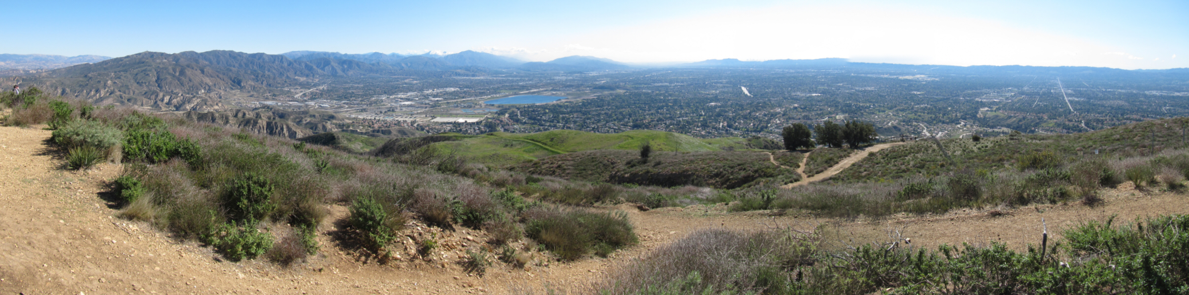 IMG_9635pan.jpg