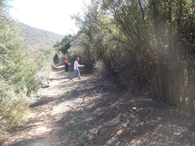SAM_0777.jpg