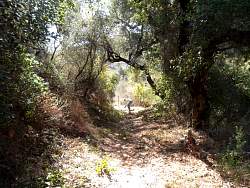 SAM_0745.jpg