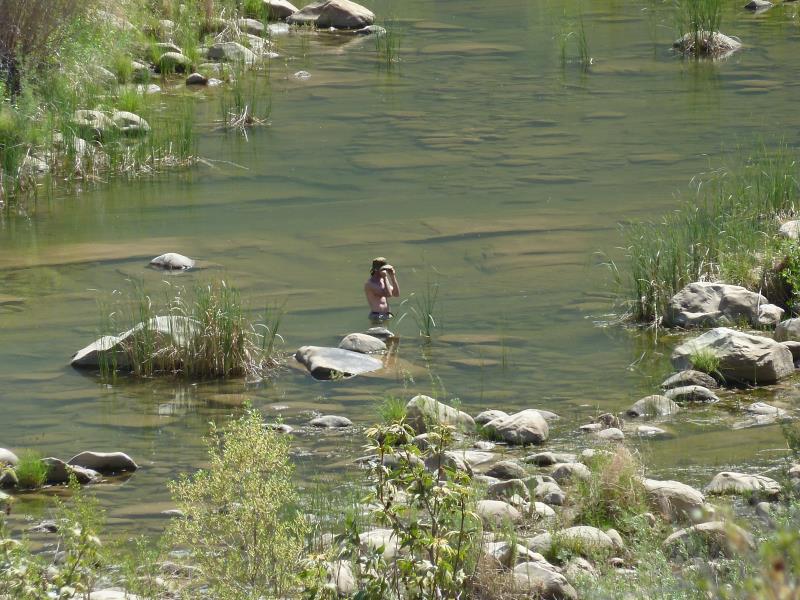 P1140660.jpg