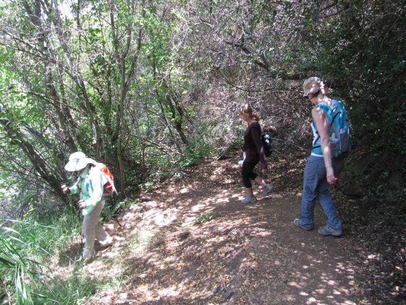 IMG_1217.jpg