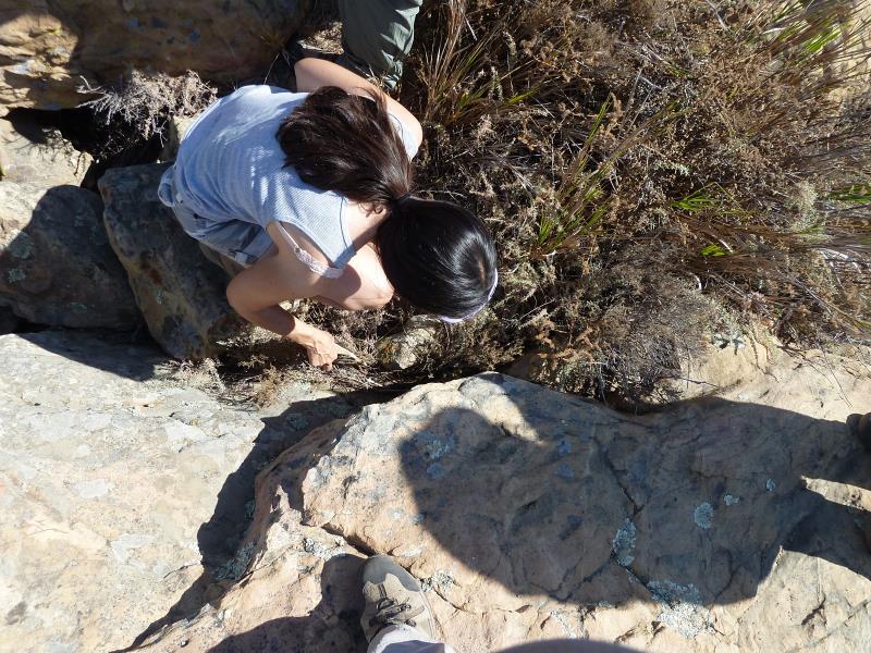 P1150961.jpg
