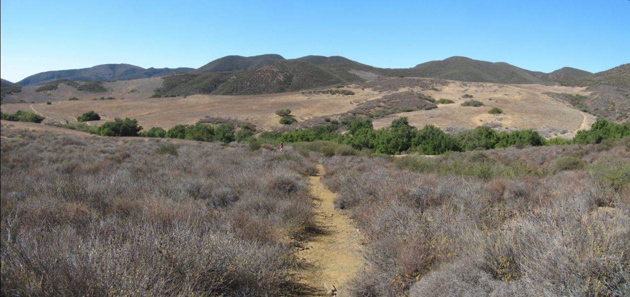 IMG_1805pan.jpg