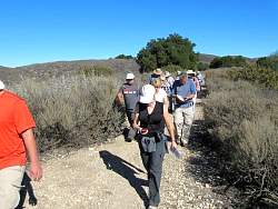 IMG_3099.jpg