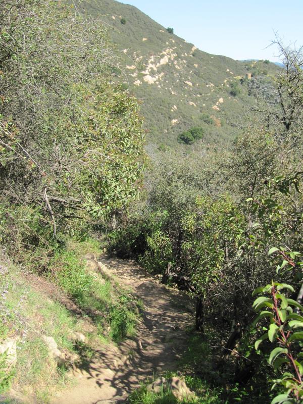 IMG_3354.jpg