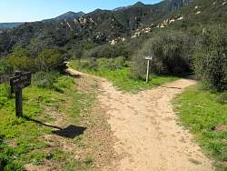 IMG_3363.jpg