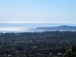 IMG_3369.jpg