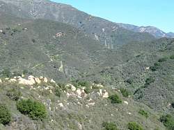 IMG_3370.jpg