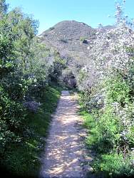 IMG_3371.jpg