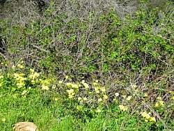 IMG_3376.jpg