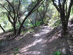 IMG_3387.jpg