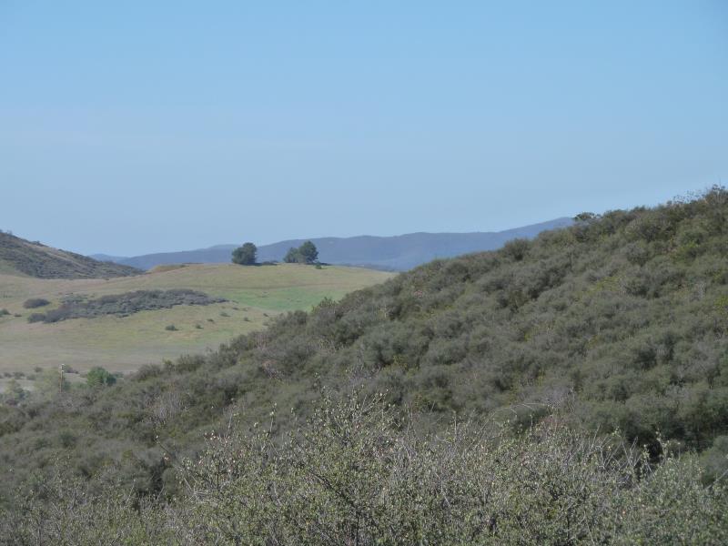 P1200029.jpg