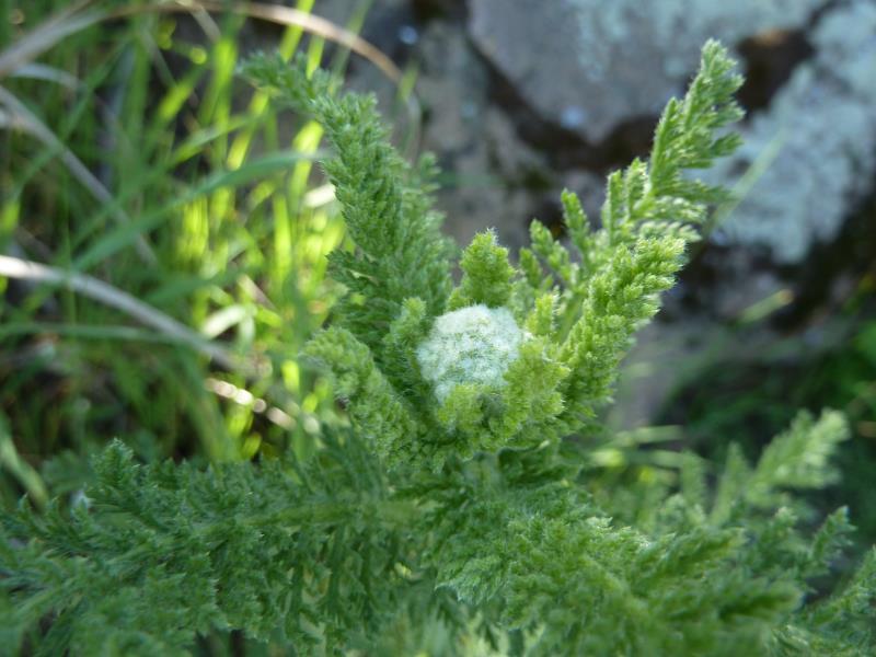 P1200218.jpg
