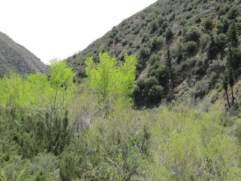 IMG_4213.jpg