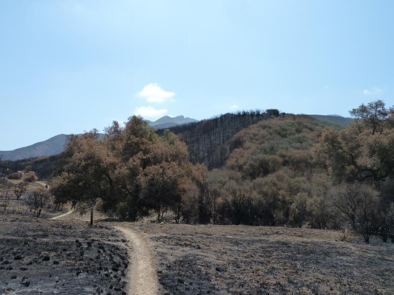 P1220366.jpg
