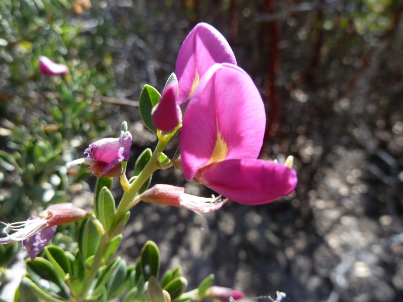 P1220843.jpg