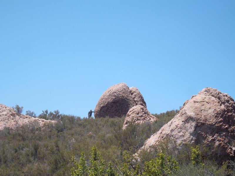 SAM_1192.jpg