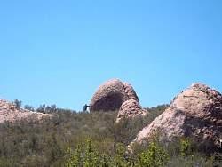 SAM_1192.jpg