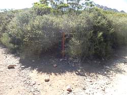 SAM_1207.jpg