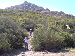 SAM_1209.jpg
