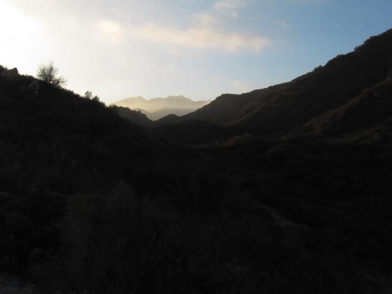 IMG_6247.jpg