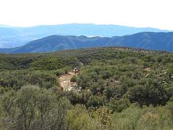 IMG_6285.jpg