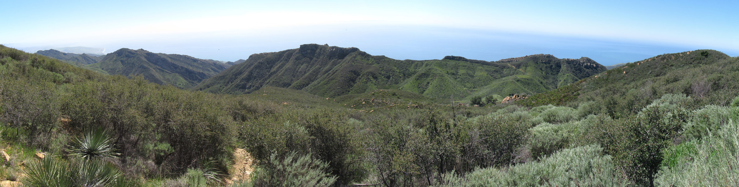 IMG_2296_stitch.jpg