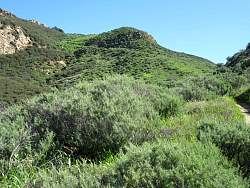 IMG_2272.jpg